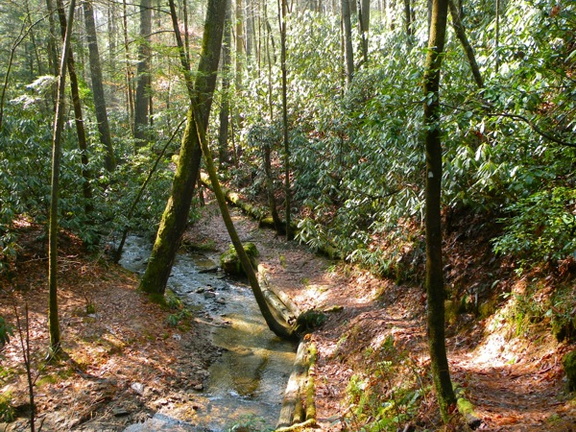 Parched Corn Creek - Rough Trail